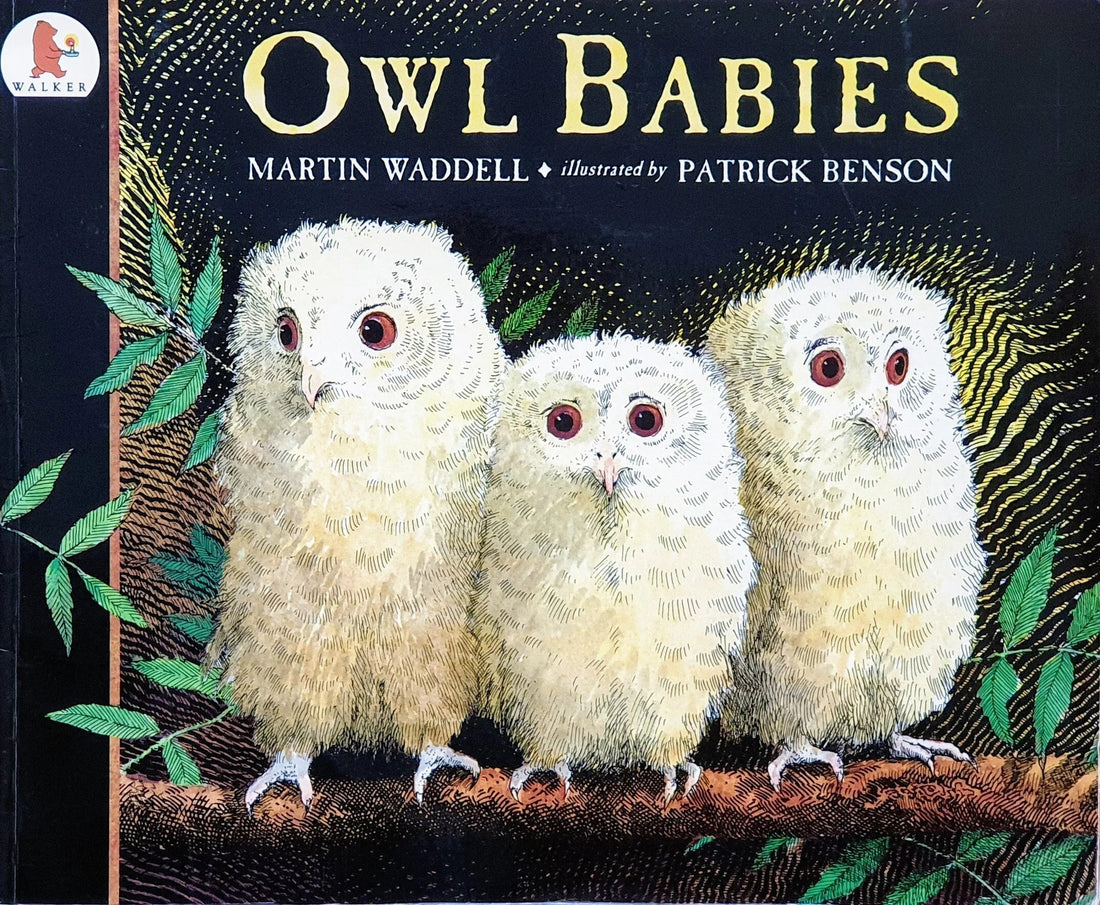 Why We Love... Owl Babies